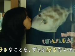 -学习谷日语培训日本留学·多语种外语教学(海淀人大分部)