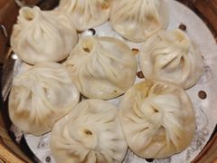 -莱莱小笼·乔艾