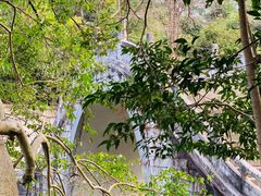 -深圳仙湖植物园