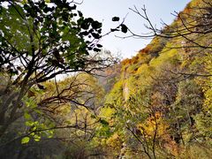-北京灵山风景区