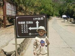 -蟒山国家森林公园-停车场