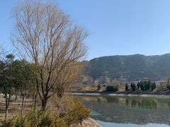 -函谷关历史文化旅游区