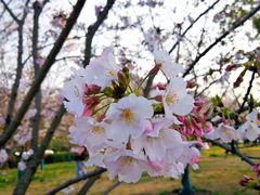 -幕燕滨江·长江观音景区