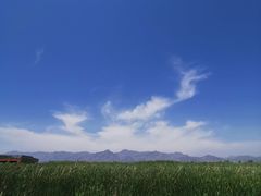 -哈素海