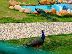 -华谊兄弟（长沙）电影小镇