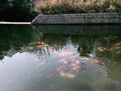 -昆嵛山石门里景区