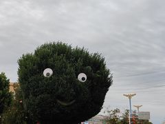 -特克斯八卦城