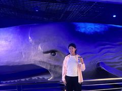 -重庆欢乐海底世界
