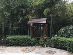 -天目湖涵田半山温泉