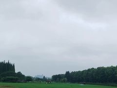 -宜兴龙背山森林公园