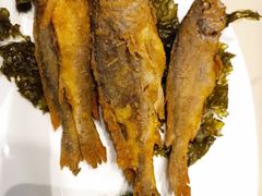 -上海德兴馆(昌里店)