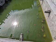 -太平禅寺