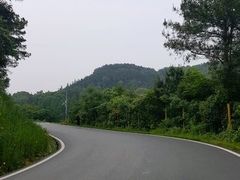 -青龙山国家森林公园