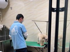 -安安宠医·安宠宠物医院