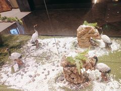 -九洲喜来登酒店湖月日餐厅