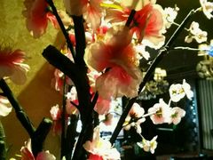 -乐海堂(乐海路旗舰店)