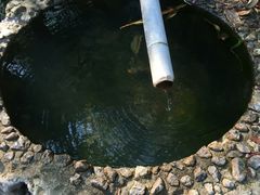 -九龙江国家森林公园