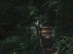 -青青世界