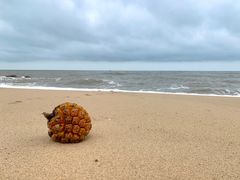 -那琴半岛地质海洋公园