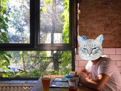 -Arrow Factory Brewing箭厂啤酒