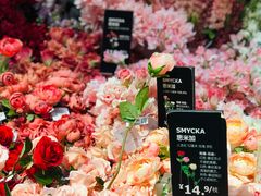 -宜家家居(西安未央商场店)