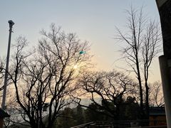 -苏州上方山国家森林公园
