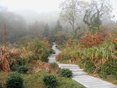 -祁门牯牛降观音堂风景区