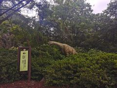 -木兰云雾山