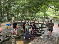 -成都市活水公园