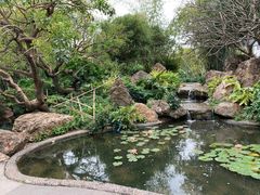 -晓港公园