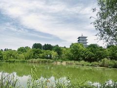 -Supine Bistro溯泮餐厅