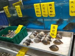 -飞尝蚝·顺德菜·鱼生(顺德总店)