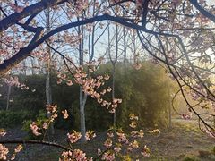 -上海火车站北广场-地下车库