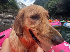 -安吉龙王山峡谷漂流