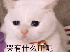 -爱辣屋咕噜鱼