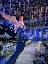 -花嫁丽舍婚礼殿堂(世博江景店)