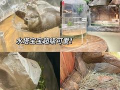 -成都动物园