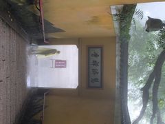 -普陀山慧济禅寺