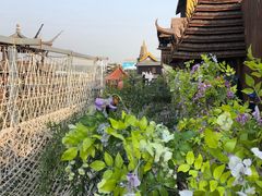 -呀路古热带植物园