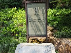 -吴山景区