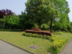 -南通博物苑-崇川人民公园