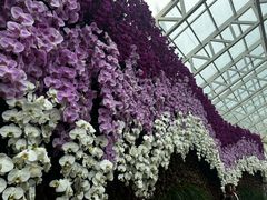 -石家庄市植物园