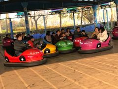 游乐设施 碰碰车-世纪公园