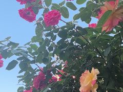 -张记焖窑·十五年专注焖烤(雍和宫店)