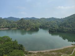 -河源万绿湖美思威尔顿酒店