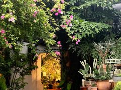 -自由生长植物工作室(深港花卉中心店)