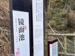 -长沙黑麋峰国家森林公园