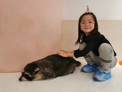 -浣熊柯尔鸭土拨鼠·电玩咖