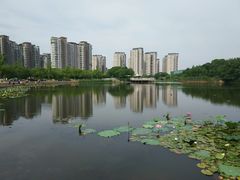 -新江湾城公园