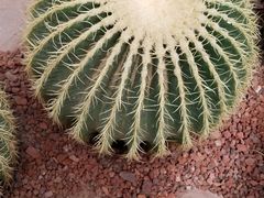 -南通洲际绿博园